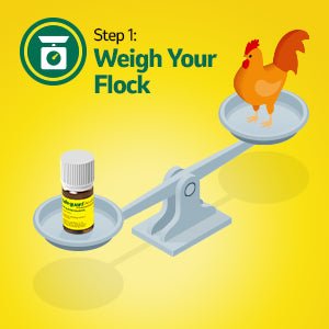 Safe - Guard AquaSol Dewormer for Backyard Chickens, 3ml - I6W4 - 3mL - 1 ct - 4