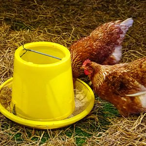 Safe - Guard AquaSol Dewormer for Backyard Chickens, 3ml - I6W4 - 3mL - 1 ct - 7