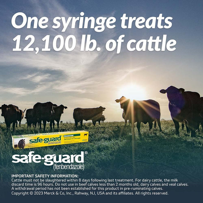 Safe - Guard Fenbendazole Beef & Dairy Cattle Dewormer Paste 10%, 290g – Broad - Spectrum Wormer - I6S4 - 290 g (10.2 oz) Wormer - 1 ct - 3