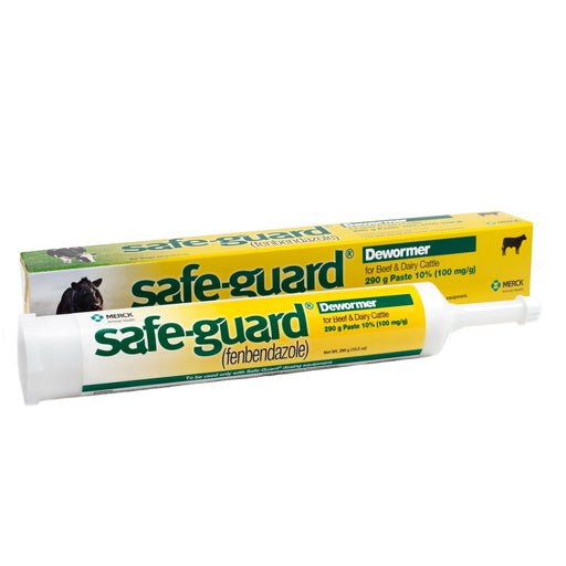 Safe - Guard Fenbendazole Beef & Dairy Cattle Dewormer Paste 10%, 290g – Broad - Spectrum Wormer - I6S4 - 290 g (10.2 oz) Wormer - 1 ct - 1