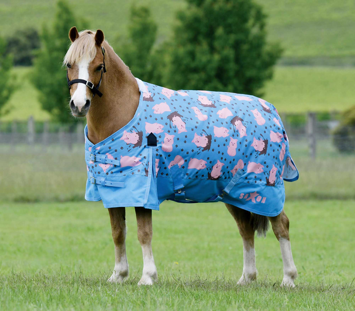 Saxon 600D Standard Neck Medium IV Turnout Rug - Equine Mania Saxon 600D Standard Neck Medium IV Turnout Rug - Equine Mania