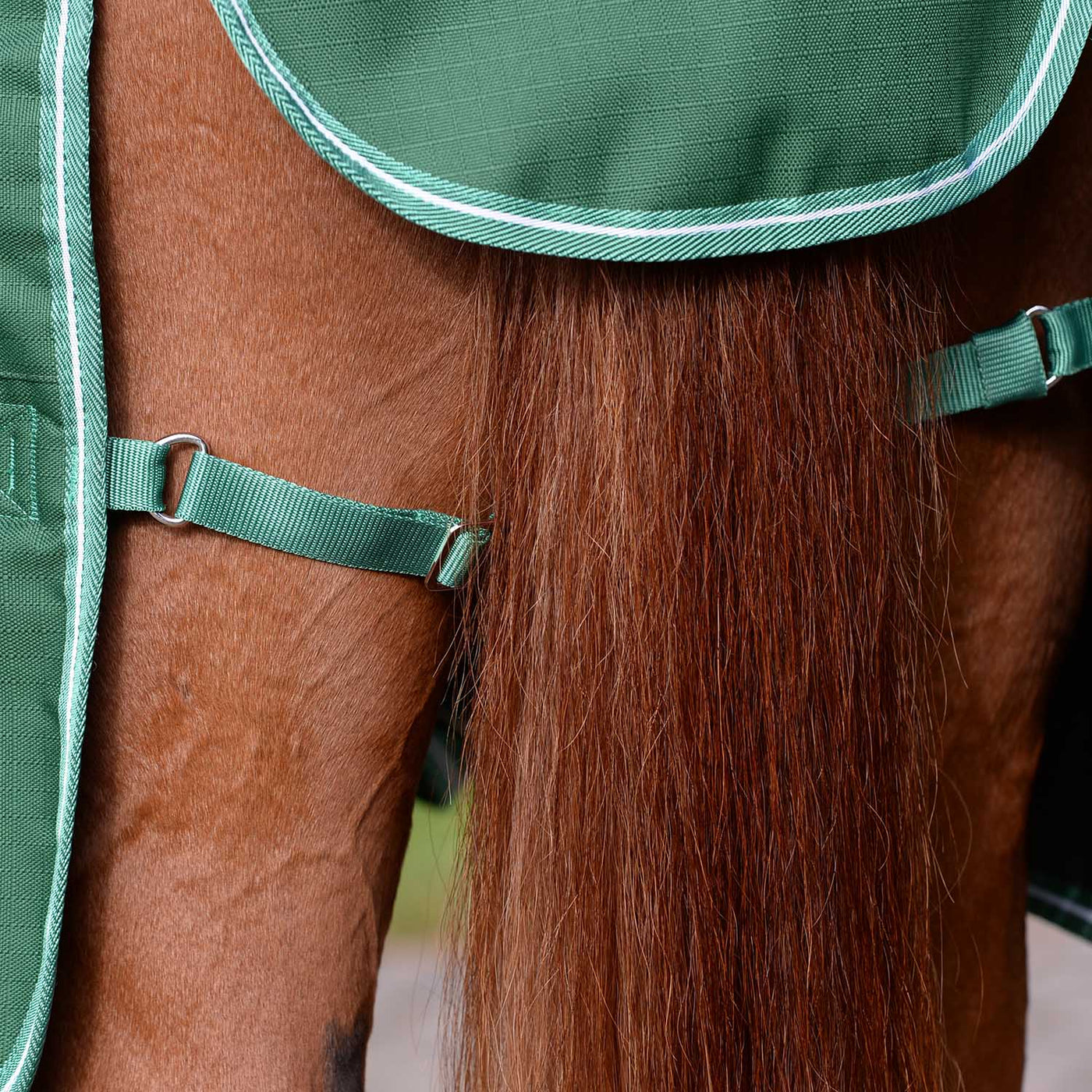 Saxon Defiant 1200 Denier Combo Neck Turnout Horse Blanket — Jeffers