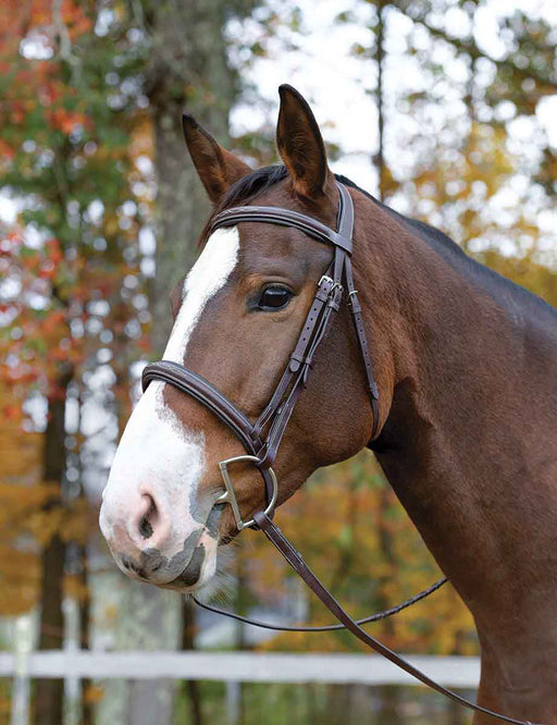 Shires Avignon Ocala Bridle, Havana - Cob  