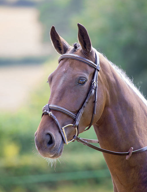 Shires Avignon Portland Bridle, Havana - Cob  