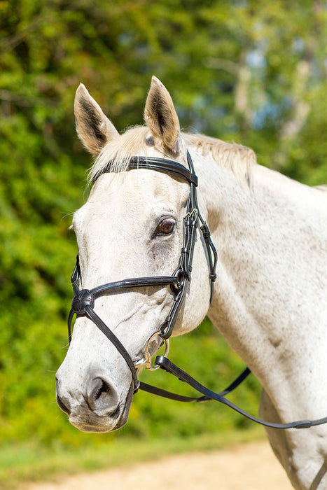 Shires Avignon Woodside Bridle - Black Oversized 