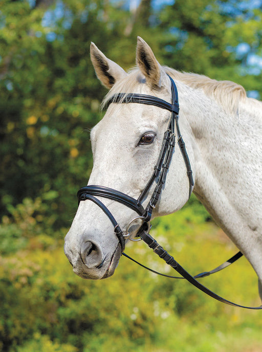 Shires Avignon Louisville Bridle - Black Cob 