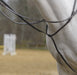 Shires Standing Martingale, Havana - Cob  