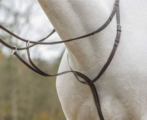 Shires Running Martingale, Havana - Cob  