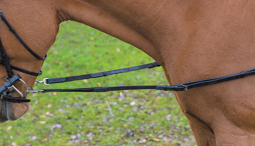 Avignon Leather & Elastic Side Reins - Black  