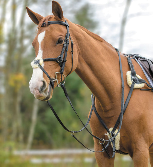 Shires Five Point Breastplate - Black Full 