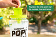 RESCUE! POP! Fly Trap (and refill) - RESCUE! POP! Fly Trap, 2 L  