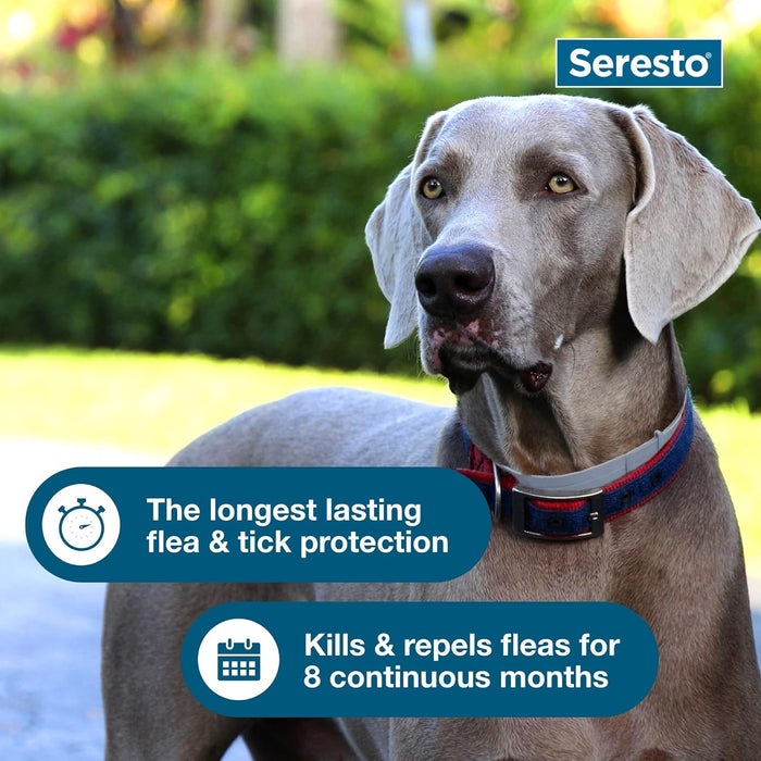 Seresto Flea and Tick Dog Collars - Jeffers - Animal Health & Wellness > Flea & Tick Control