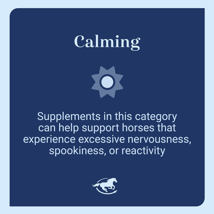 Seroquine Calming Support for Horses, Paste - SMADG - 80 mL - 3