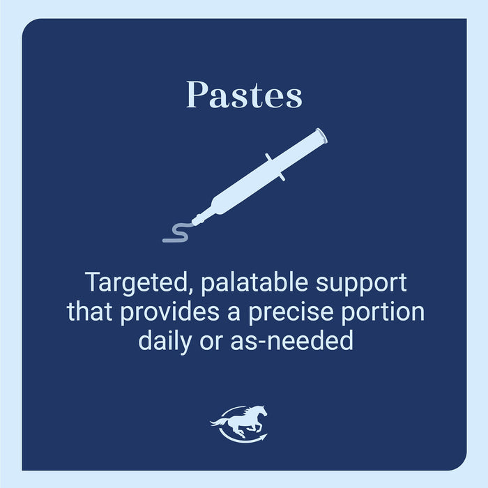 Seroquine Calming Support for Horses, Paste - SMADG - 80 mL - 4