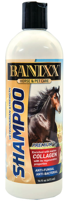 Banixx Veterinary Strength Shampoo, 16 oz -   