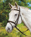 Shires Avignon Louisville Bridle - Jeffers - Horse Supplies > Horse Tack > Bridles & Headstalls