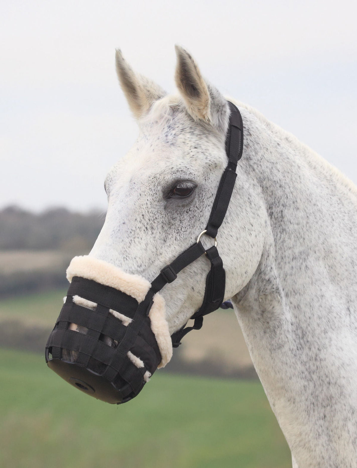 Shires Deluxe Grazing Muzzle for Horses — Jeffers