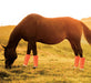 ShooFly Leggins for Large Horse, 4 - pack - Jeffers - Horse Supplies > Horse Boots & Leg Wraps