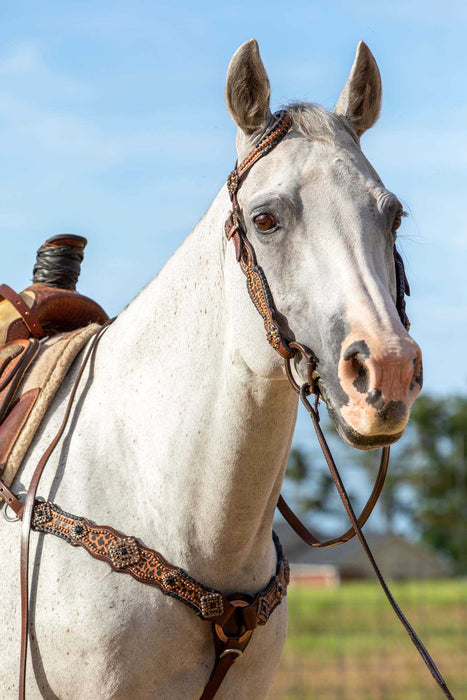 Showman Cheetah & Buckstitch Tack Set - Jeffers - Horse Supplies > Horse Tack > Tack Sets