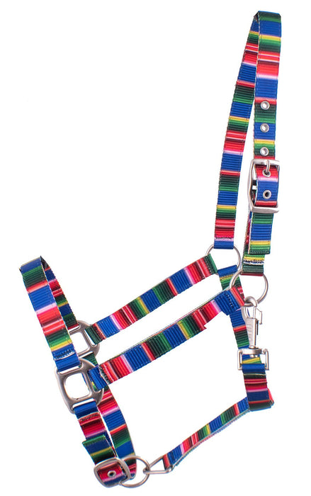 Showman Premium Nylon Halter - Jeffers - Horse Supplies > Horse Tack > Horse Halters