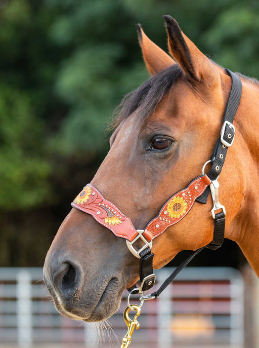 Showman Sunflower & Rhinestone Bronc Halter - Jeffers - Horse Supplies > Horse Tack > Horse Halters