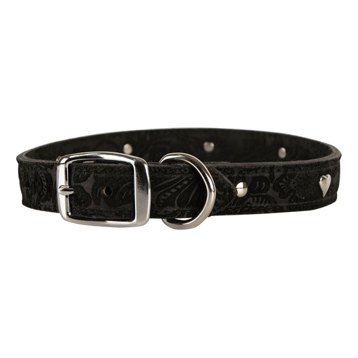 Signature Suede Collar - LY7J - Black - 1"x 22" - 1