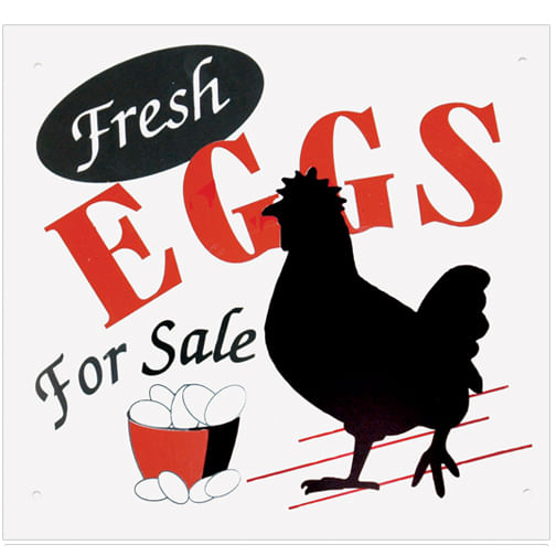 Gate Signs - Fresh Eggs for Sale  