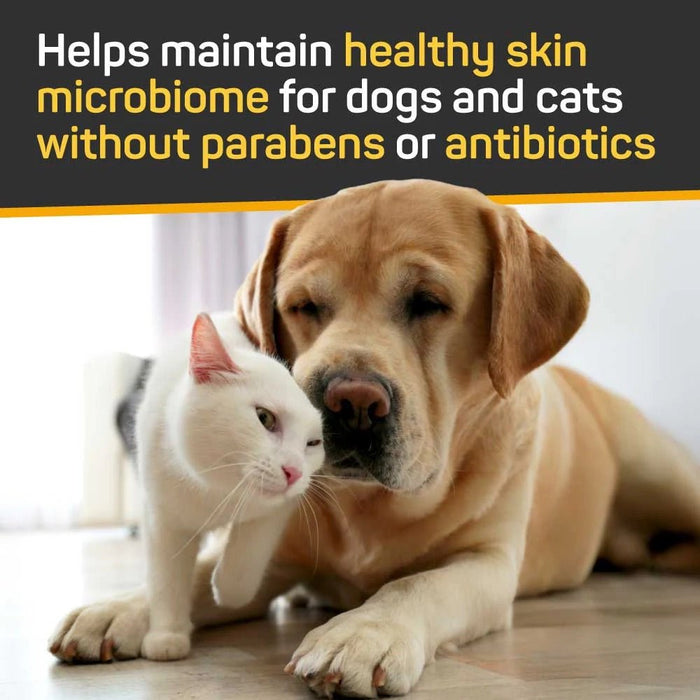 Silver Honey Skin & Coat Care Nourish & Soothe Shampoo with Odor Neutralizer for Dogs & Cats, 16 fl oz (473 ml) Pump Bottle - Y1VK - 16 fl oz (473 ml) - 1 - 4