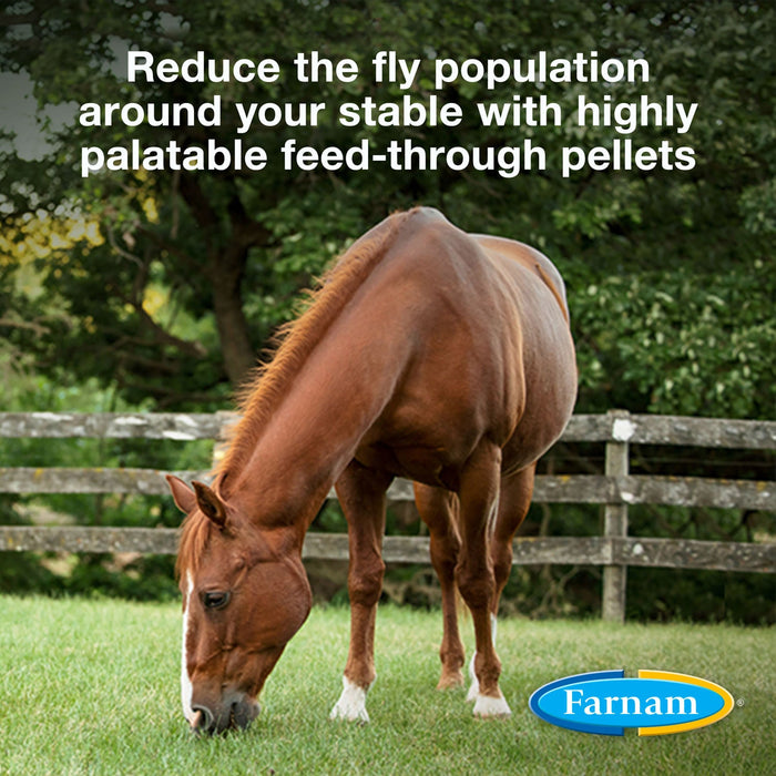 SimpliFly Feed - Thru Fly Control - Jeffers - Animal Health & Wellness > Fly & Insect Control