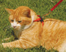 Size Right! Adjustable Cat Harness - Jeffers - Cat Supplies > Cat Apparel > Cat Collars, Harnesses, & Leashes