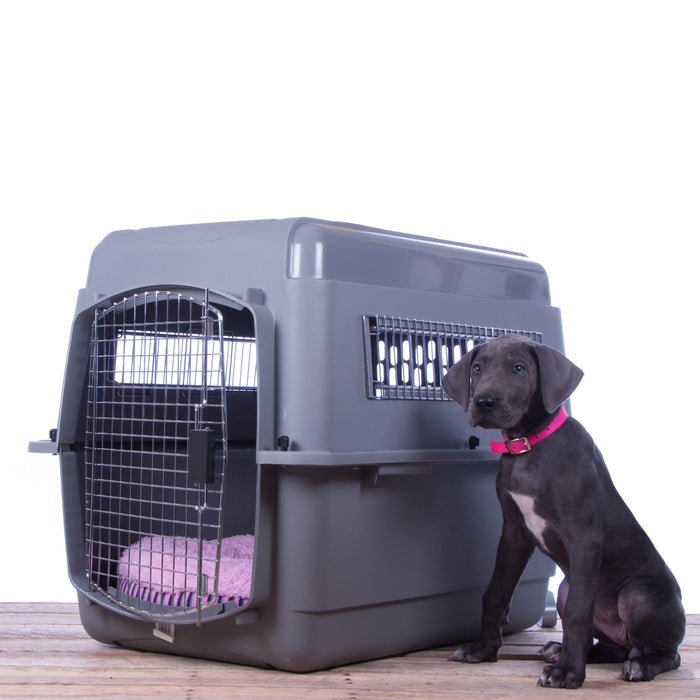 Sky Kennel - Jeffers - Dog Supplies > Dog Kennels & Runs