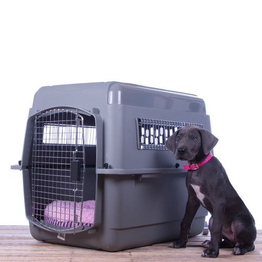 Sky Kennel - Medium Sky Kennel, 28" x 20.5" x 21.5"  