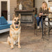 Smart Dog Trainer - Jeffers - Animal & Pet Supplies > Pet Training Aids