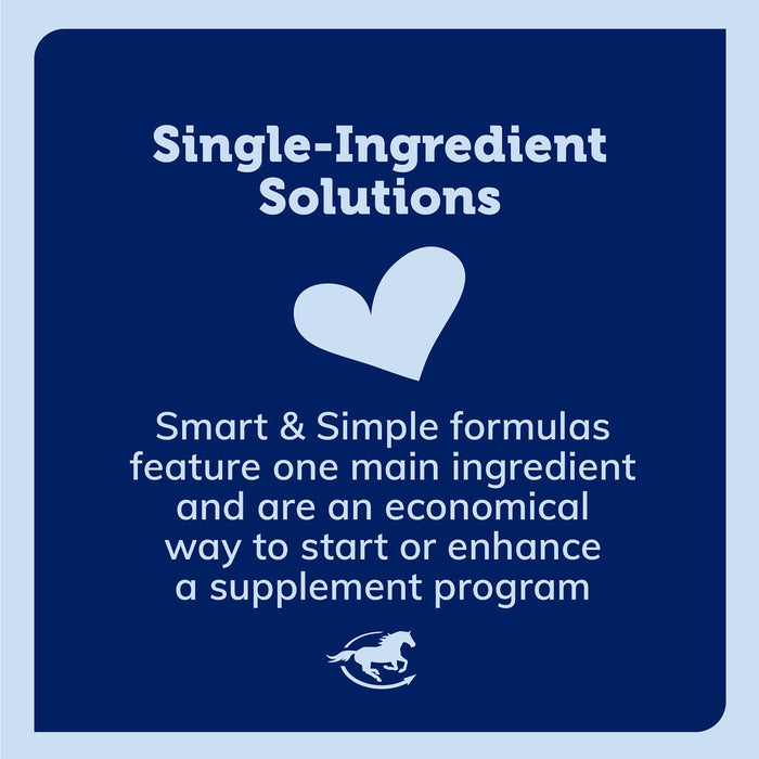 SmartEquine Smart Magnesium Oxide Supplement for Horses - SMACT - 10 lb - 5