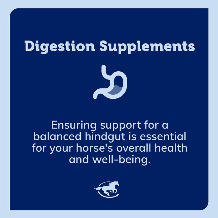 SmartEquine Smart & Simple Psyllium Pellets - SMAAL - 4.4 lbs - 4