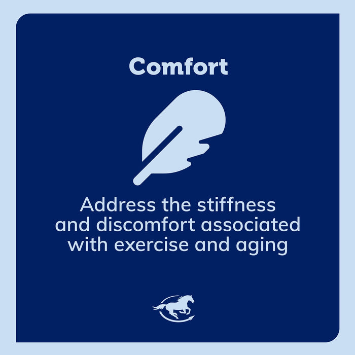 SmartEquine Smart & Simple Turmeric Pellets - SMAAD - 6 lb - 4