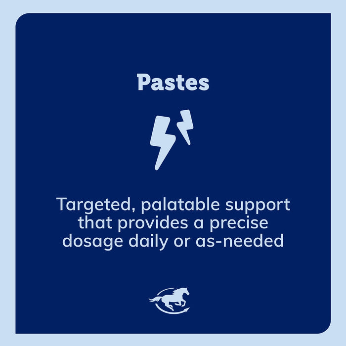 SmartEquine SmartLytes Electrolyte Paste for Horses - SMADS - 30 mL - 4