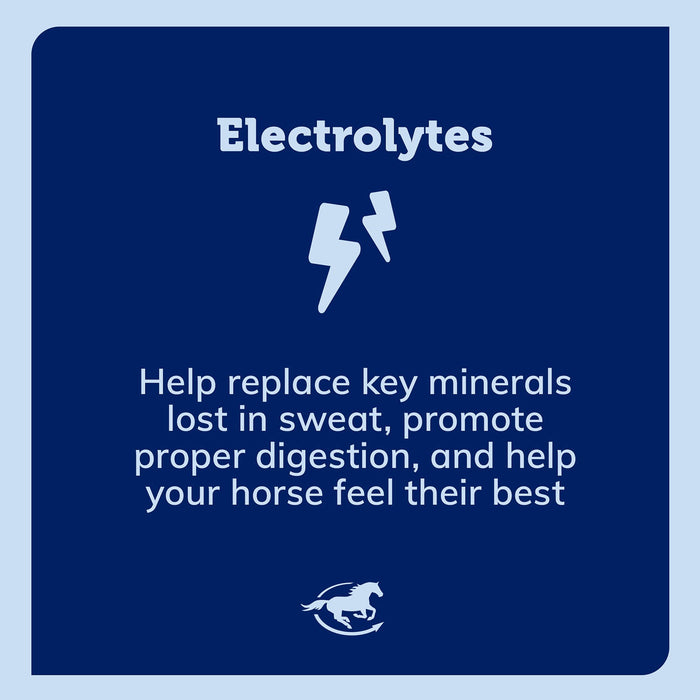 SmartEquine SmartLytes Electrolyte Paste for Horses - SMADS - 30 mL - 3