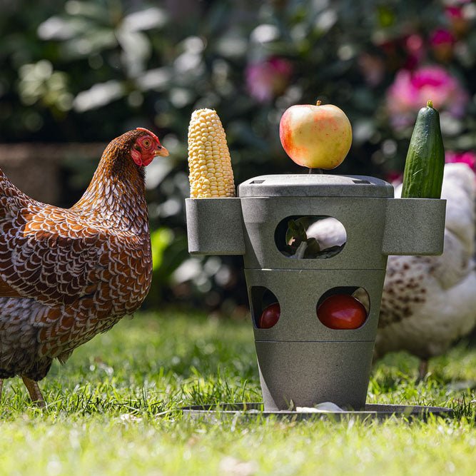 Snack / Feed Tower for Chickens – 100% Recycled, Eco - Friendly Feeder - GAUEV - 3