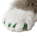 Soft Claws Nail Caps for Cats, 40 ct - 008SH-73209 - Green - Small - 8