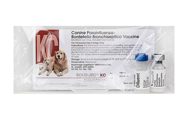 Solo - Jec KC (Kennel Cough) Intranasal Vaccine - Jeffers - Animal Health & Wellness > Vaccines