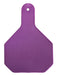 Special Order Y - Tex Blank 2 - Piece Ear Tags, 25 ct - XUHR - Small - 5
