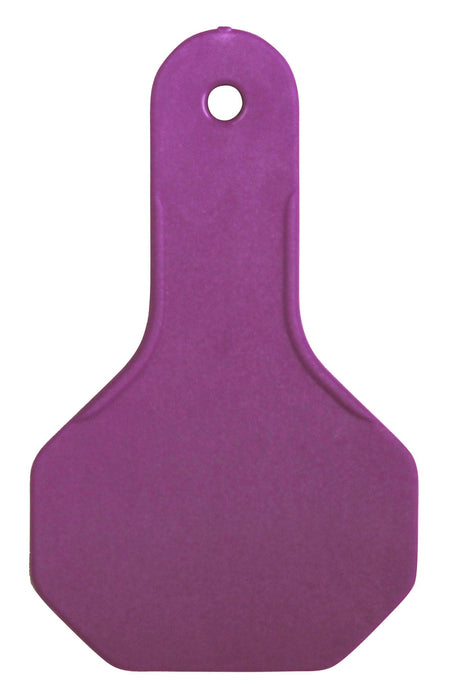 Special Order Blank Y - Tex Tags, Small - Jeffers - Farm & Ranch Supplies > Identification & Ear Tags