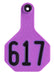 Special Order Y - Tex Numbered 2 - Piece Ear Tags, 25 ct - XUHQ - Medium - 6