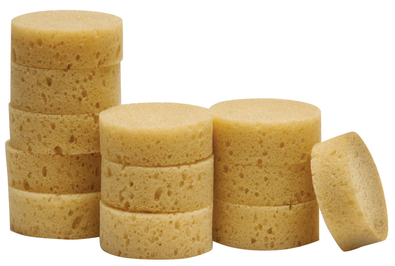 Debra's Sponges