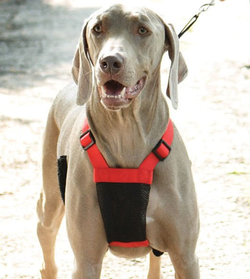 Sporn Non - Pulling Mesh Harness, Large/X - Large - Jeffers - Dog Supplies > Dog Apparel > Dog Collars, Harnesses, & Leashes