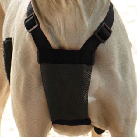 Sporn Non - Pulling Mesh Harness, Medium - Jeffers - Dog Supplies > Dog Apparel > Dog Collars, Harnesses, & Leashes