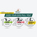 Sporn Non - Pulling Mesh Harness, Small - Jeffers - Dog Supplies > Dog Apparel > Dog Collars, Harnesses, & Leashes