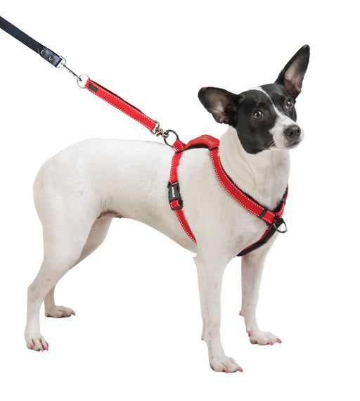 Sporn Ultimate Control Harness, Black - Jeffers - Dog Supplies > Dog Apparel > Dog Collars, Harnesses, & Leashes