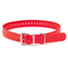 SportDOG Collar Strap, 1' x 27' - Jeffers - Dog Supplies > Dog Apparel > Dog Collars, Harnesses, & Leashes